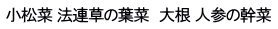 小松菜 法連草の葉菜　大根 人参の幹菜