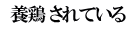  養鶏 されている