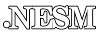 .ＮＥＳＭ