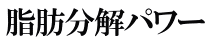 脂肪分解パワー