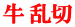 牛 乱切