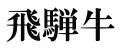 飛騨牛 