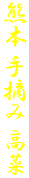 熊本 手摘み 高菜