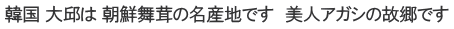韓国 大邱は 朝鮮舞茸の名産地です　美人アガシの故郷です