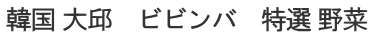 韓国 大邱　ビビンバ　特選 野菜