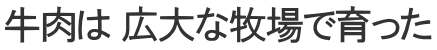 牛肉は 広大な牧場で育った