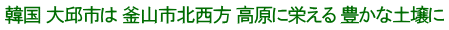韓国 大邱市は 釜山市北西方 高原に栄える 豊かな土壌に