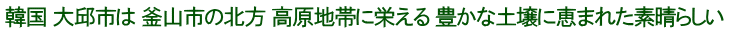 韓国 大邱市は 釜山市の北方 高原地帯に栄える 豊かな土壌に恵まれた素晴らしい