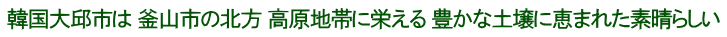 韓国大邱市は 釜山市の北方 高原地帯に栄える 豊かな土壌に恵まれた素晴らしい