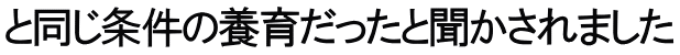 と同じ条件の養育だったと聞かされました