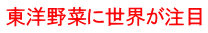 東洋野菜に世界が注目 