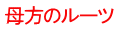 母方のルーツ 